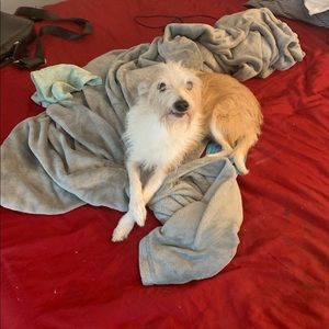 Meet your Posher, Charles